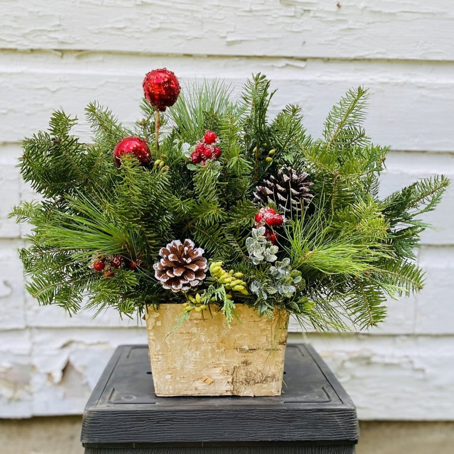 Birch Box Centerpiece-Decorative Evergreens-Christmas Delivered