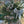 Load image into Gallery viewer, 24&quot; Specialty Wreaths-Decorative Evergreens-Christmas Delivered
