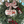 Load image into Gallery viewer, 24&quot; Specialty Wreaths-Decorative Evergreens-Christmas Delivered
