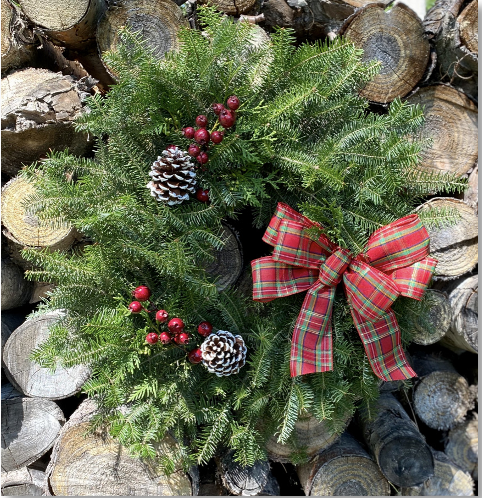 24" Specialty Wreaths-Decorative Evergreens-Christmas Delivered