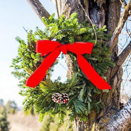 Traditional Round Wreath-Decorative Evergreens-Christmas Delivered