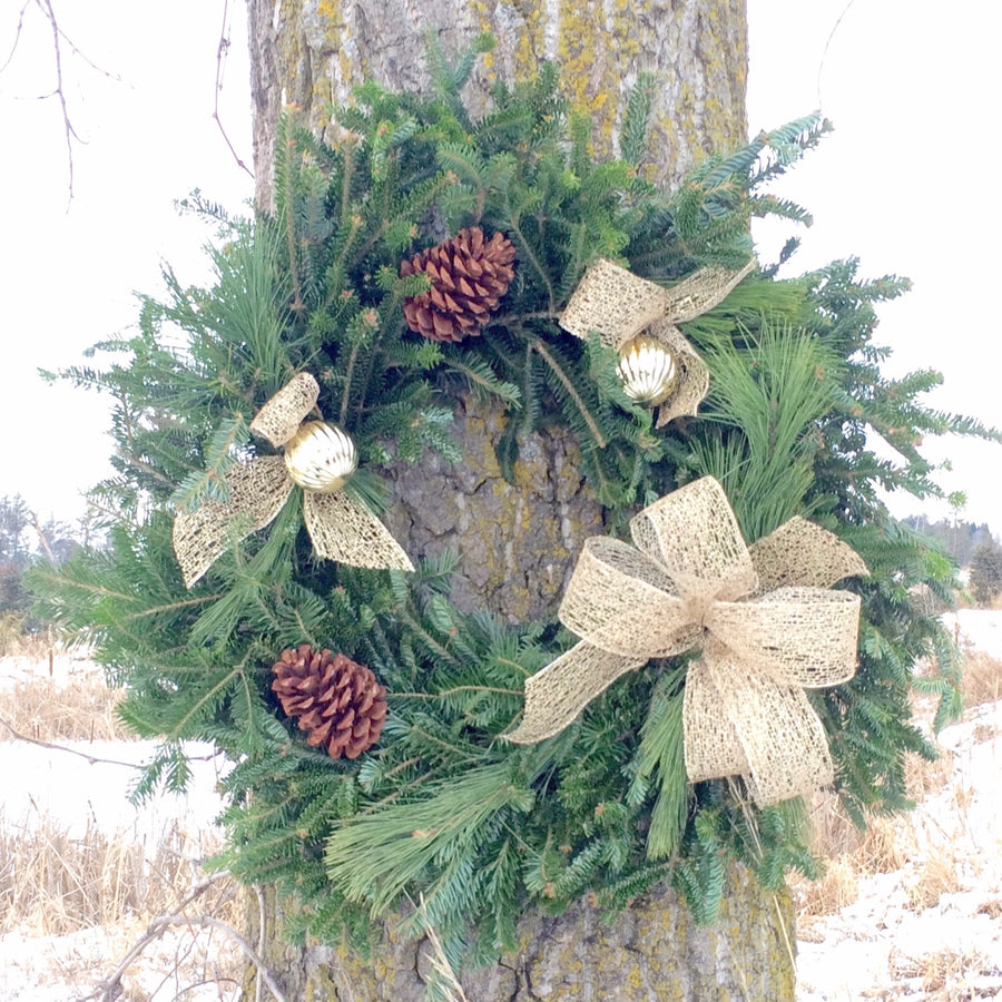 24" Specialty Wreaths-Decorative Evergreens-Christmas Delivered
