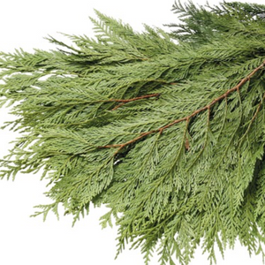Evergreen Boughs, #3 Florist Bunch-Do It Yourself-Christmas Delivered