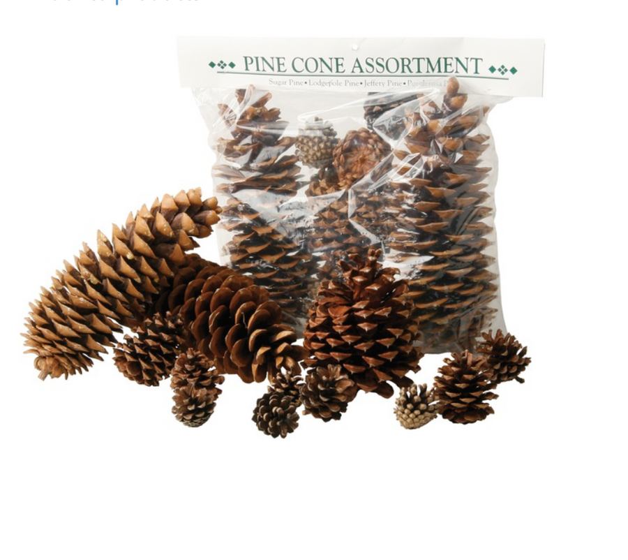 Assorted Pine Cones-Do It Yourself-Christmas Delivered