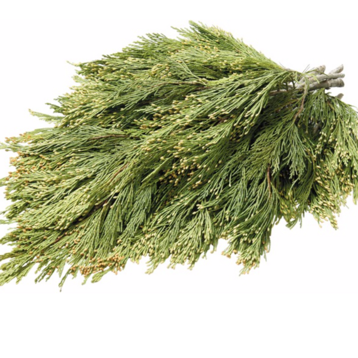 Incense Cedar, #2 Florist Bundle-Do It Yourself-Christmas Delivered